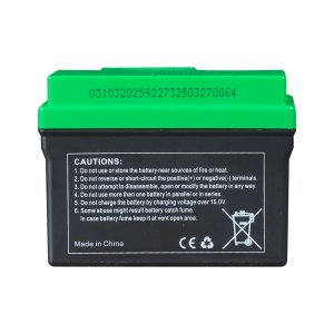 Аккумулятор FUBAG li-ion 3Ah для инверторного генератора TI 11000 A ES (арт. 646211) купить в Иваново