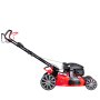Газонокосилка бензиновая самоходная с двигателем FUBAG Honda FPL 56 SMH в Иваново фото